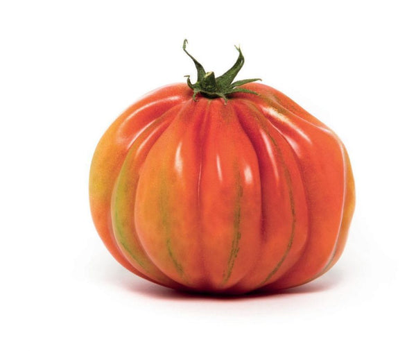 Tomato "Cuore di Bue"